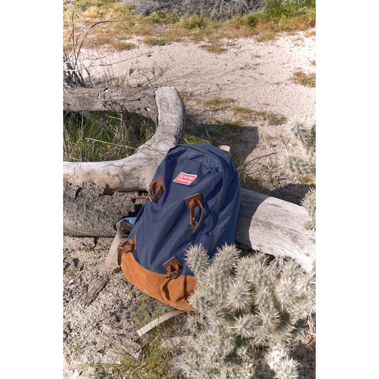 Gator Pack 2.0 - Blackberry - DUNE + SALT