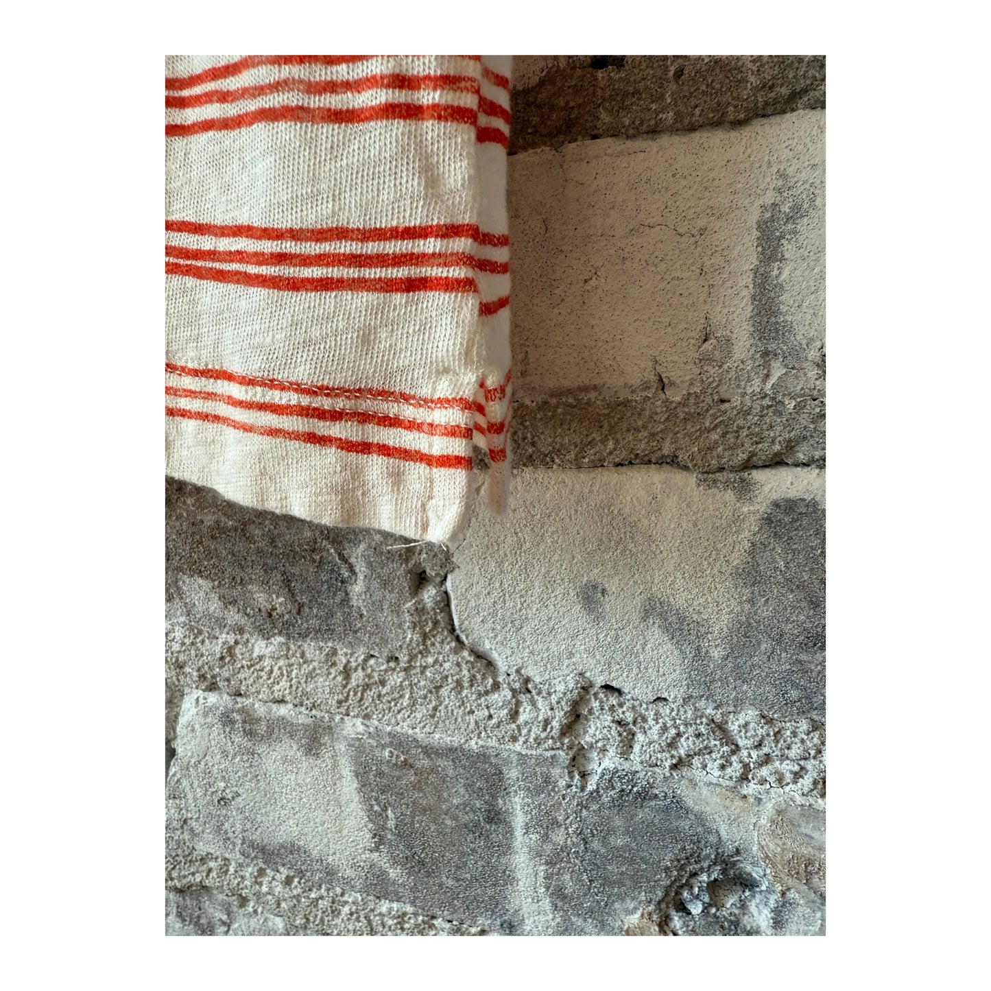 Knitted Polo - Poppy/Ecru - DUNE + SALT