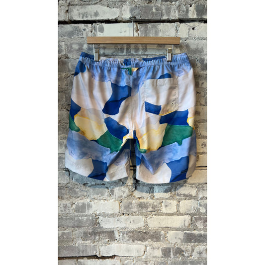 Men's printed swim shorts by Far Afield with a landscape pattern, featuring lightweight fabric and adjustable waistband.