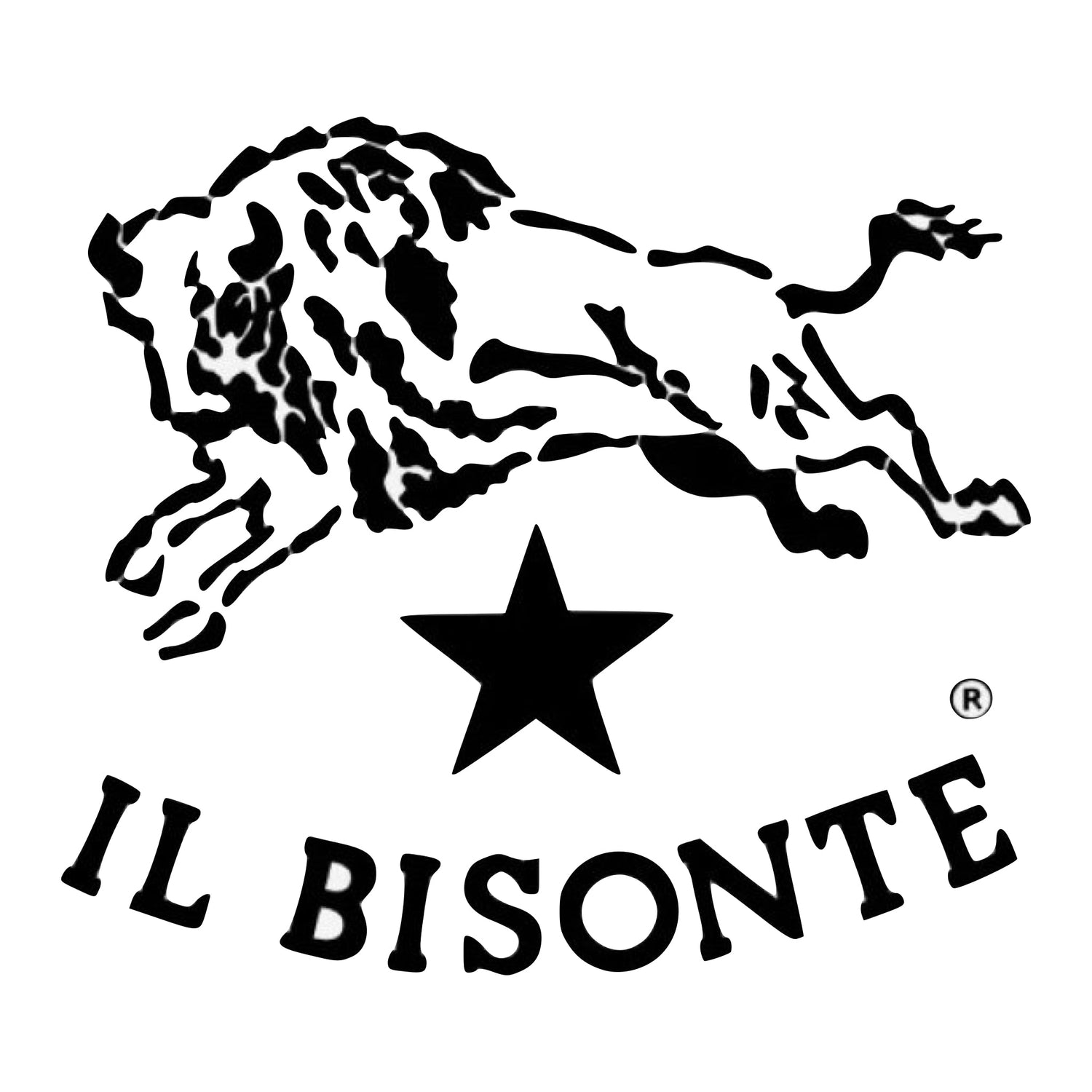 Il Bisonte