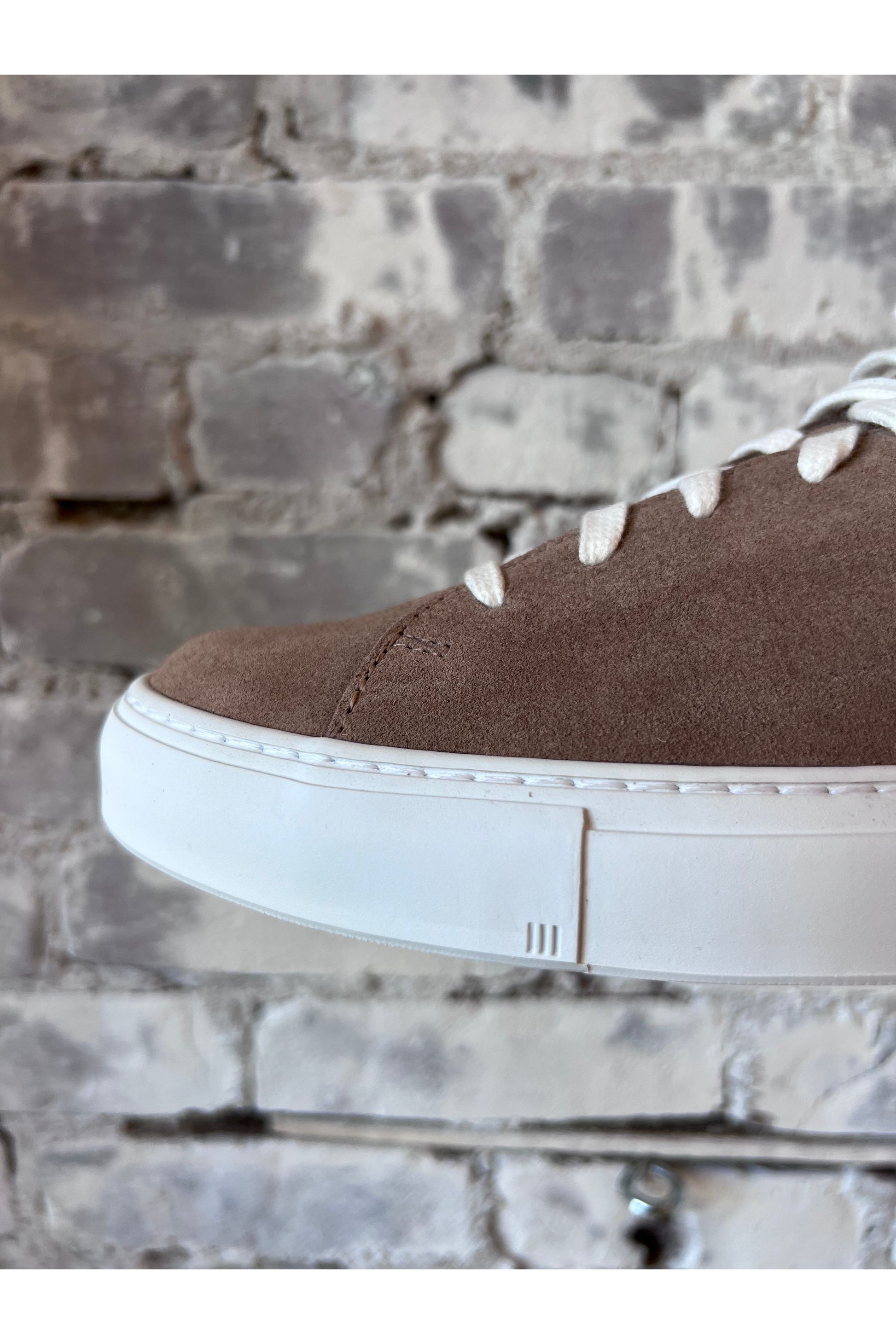 Loria Suede Low Sneaker - Taupe - DUNE + SALT