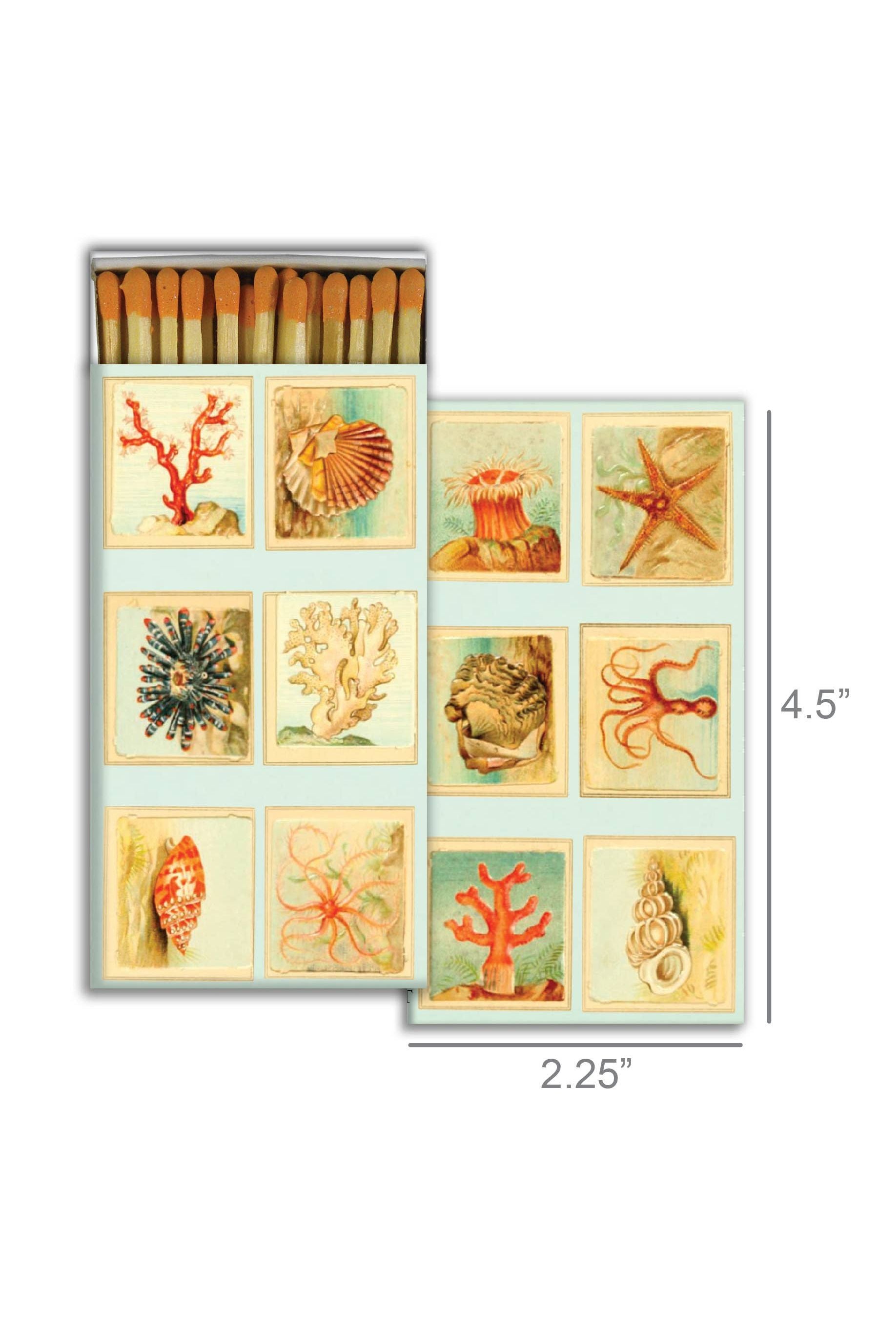 Mollusks + Coral + Seastars Matches - DUNE + SALT