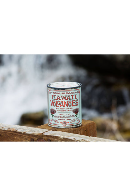 Hawai'i Volcanoes National Park 1/2 Pint Candle - DUNE + SALT
