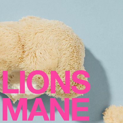 CREATE MAGIC a Potent, Functional & Delicious Chocolate Bar - DUNE + SALT