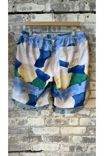 Printed Swim Short - Landscape - DUNE + SALT