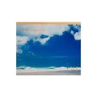 The Surfer's Journal 31 Editions - DUNE + SALT