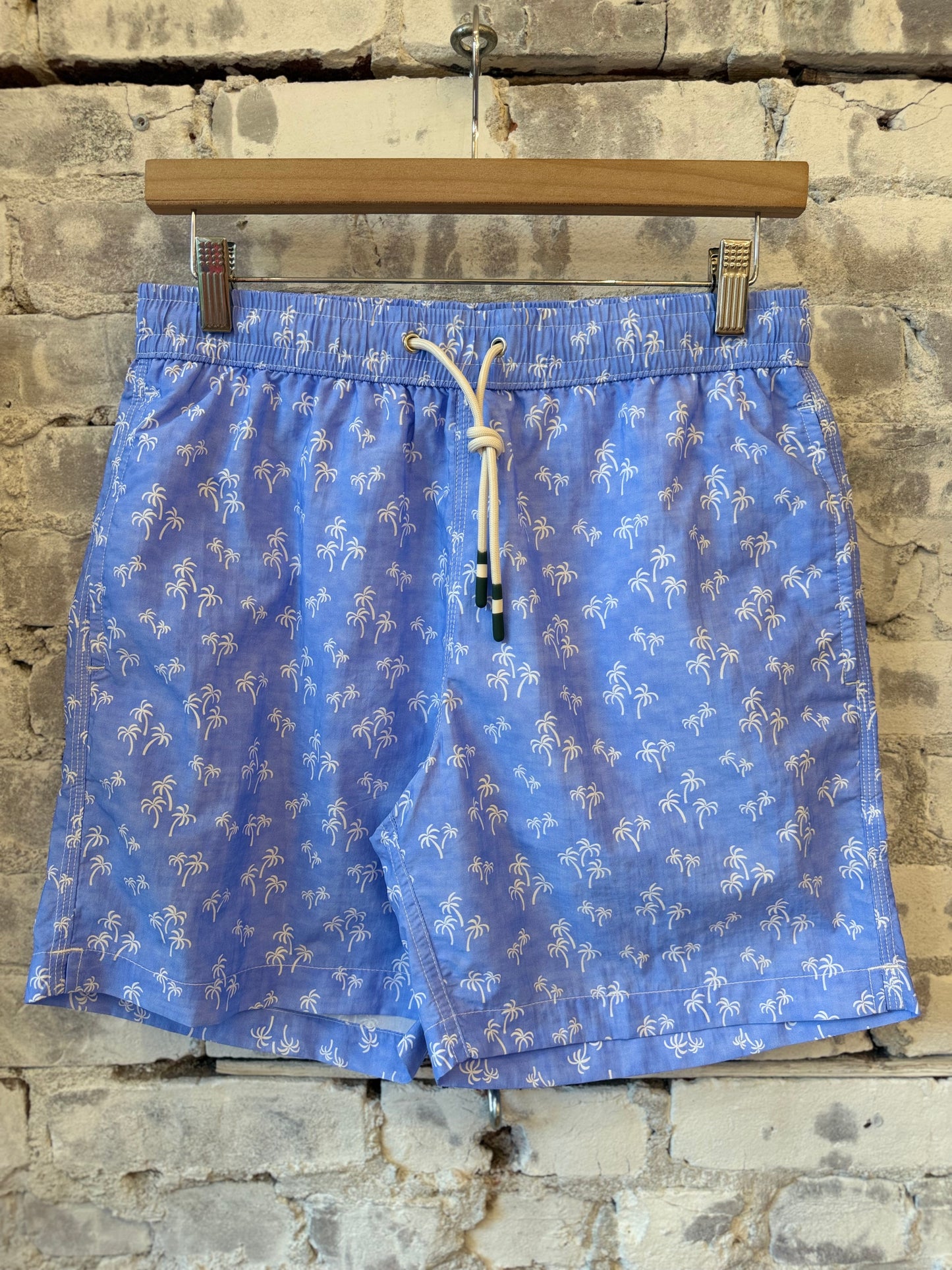 "Palms" Nylon Woven Swimshort - Sky Blue