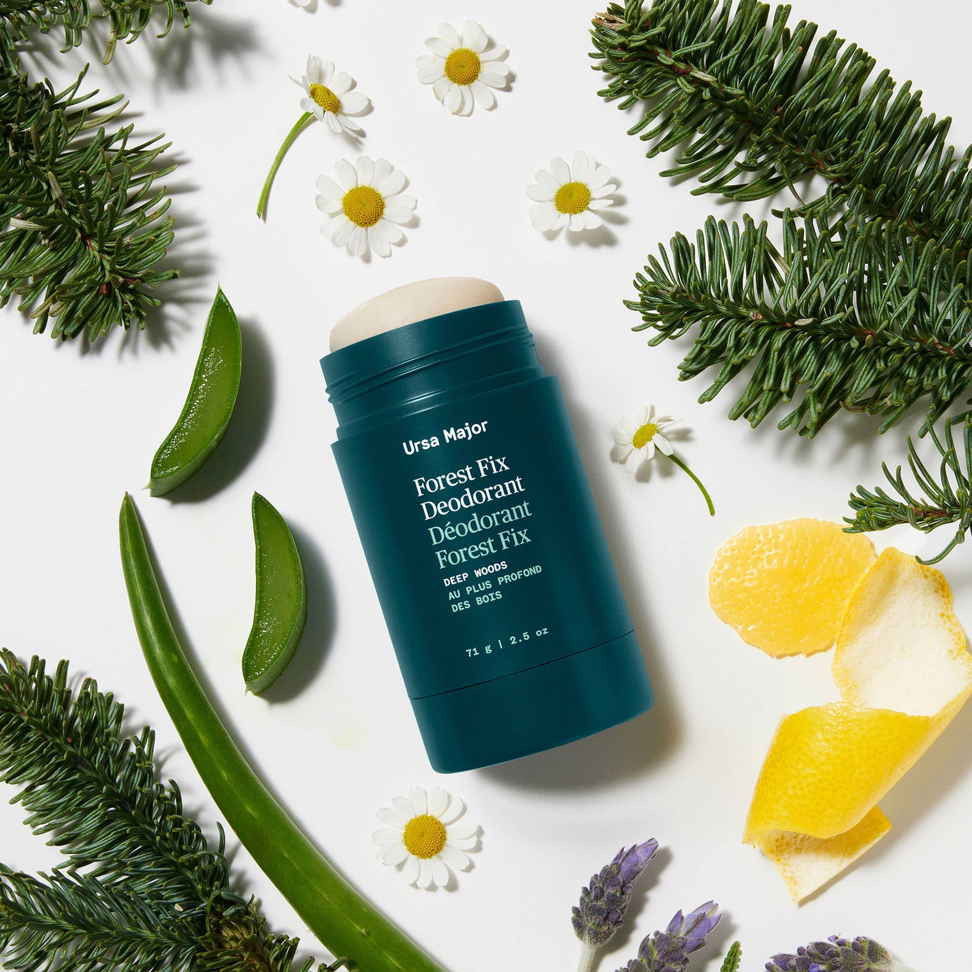 Ursa Major - Forest Fix Deodorant - DUNE + SALT