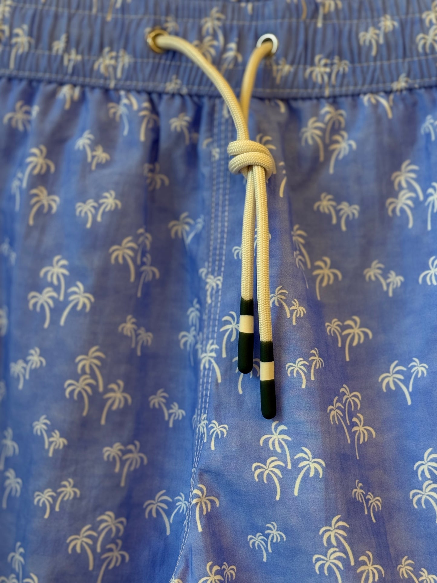 "Palms" Nylon Woven Swimshort - Sky Blue