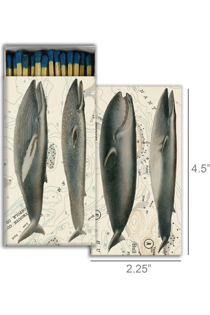 Whales Matches - DUNE + SALT