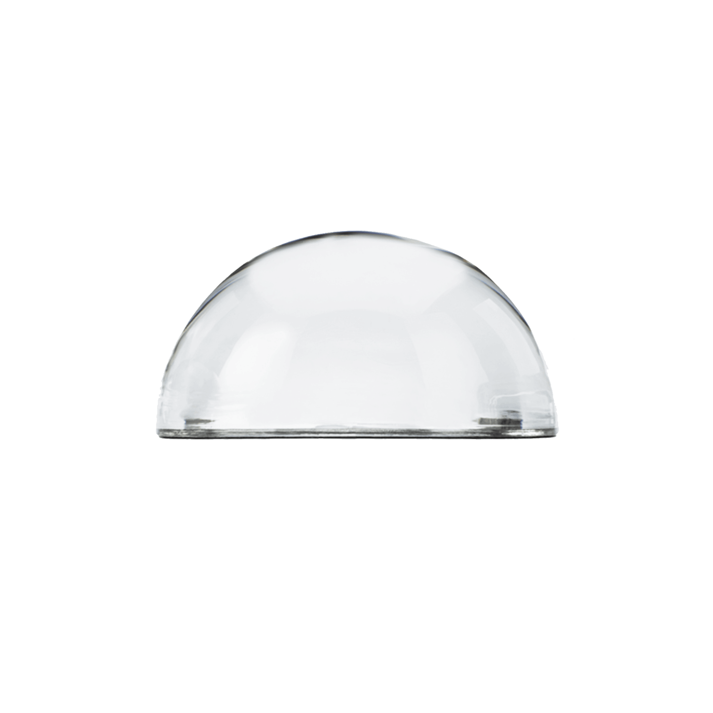 Bullshit Crystal Dome Paperweight - DUNE + SALT