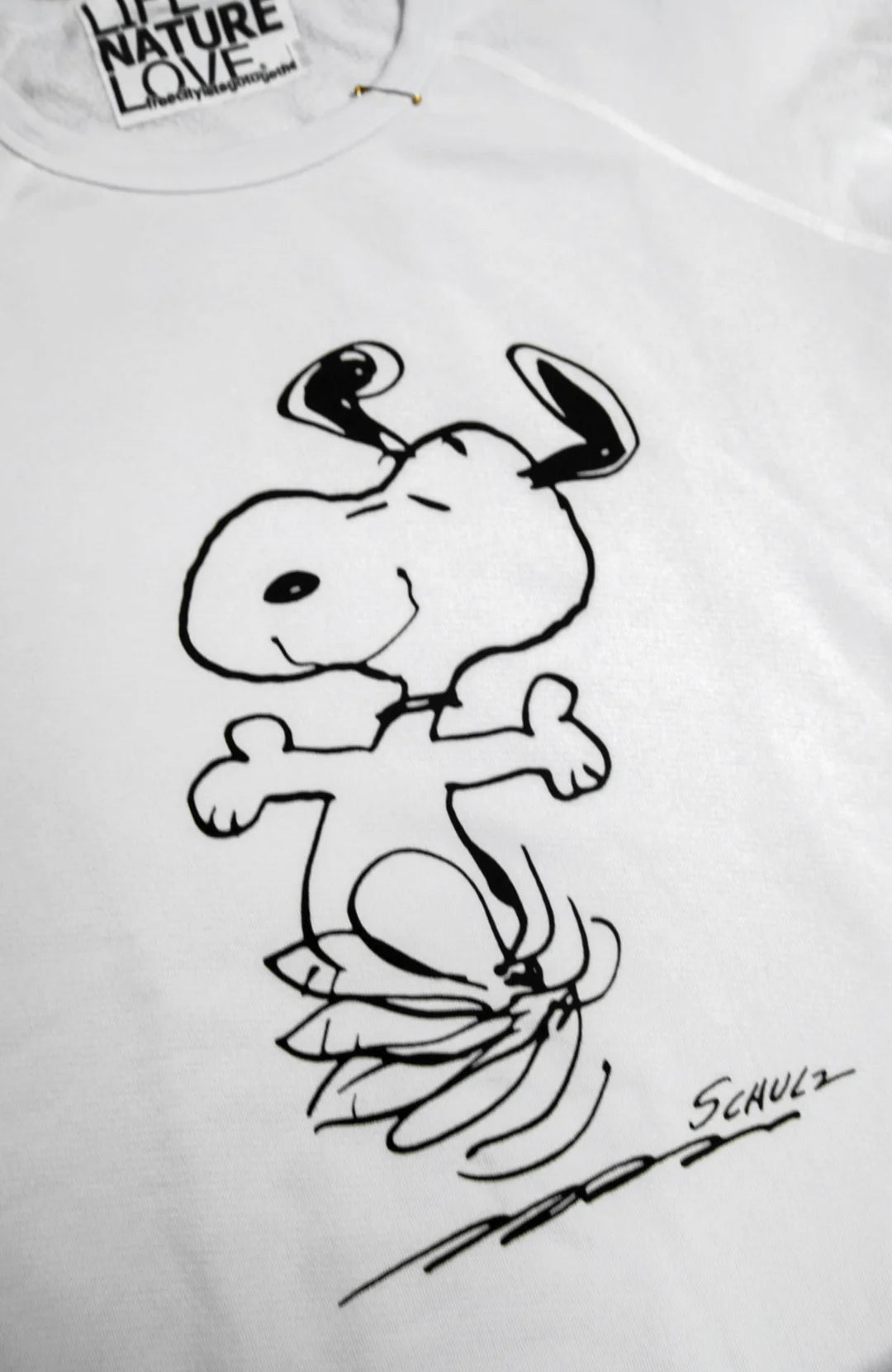 Freecity BASICGOODNESS SCHULZ SUPERVINTAGE YUMM RAGLAN - Snoopy Laundry Greens Light Gray