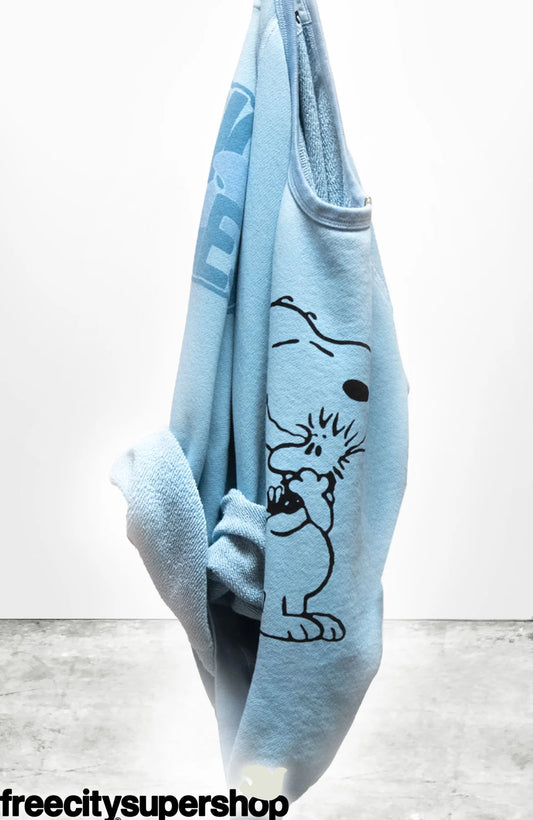 FreeCity BASICGOODNESS SCHULZ SUPERVINTAGE YUMM RAGLAN - Snoopy Blue White Smoke