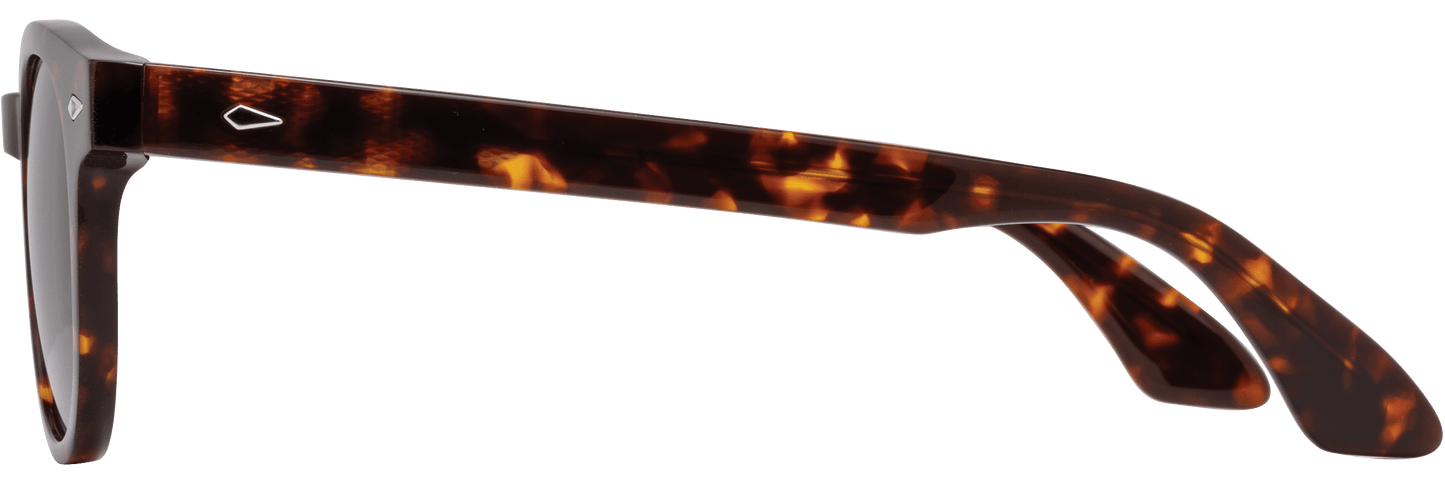 Hadley - Amber Tortoise