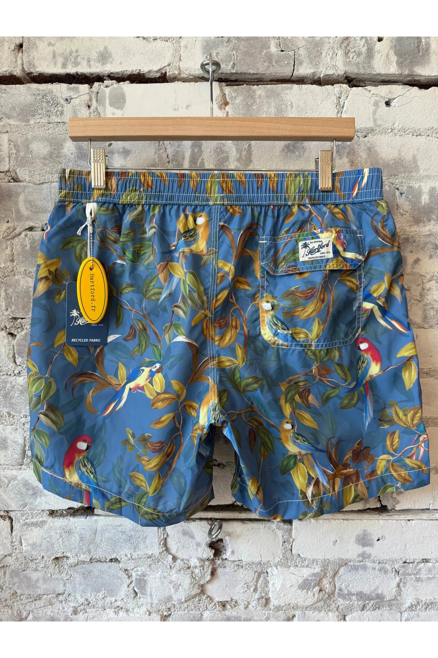 Printed Swim Trunks - Blue Parrot - DUNE + SALT