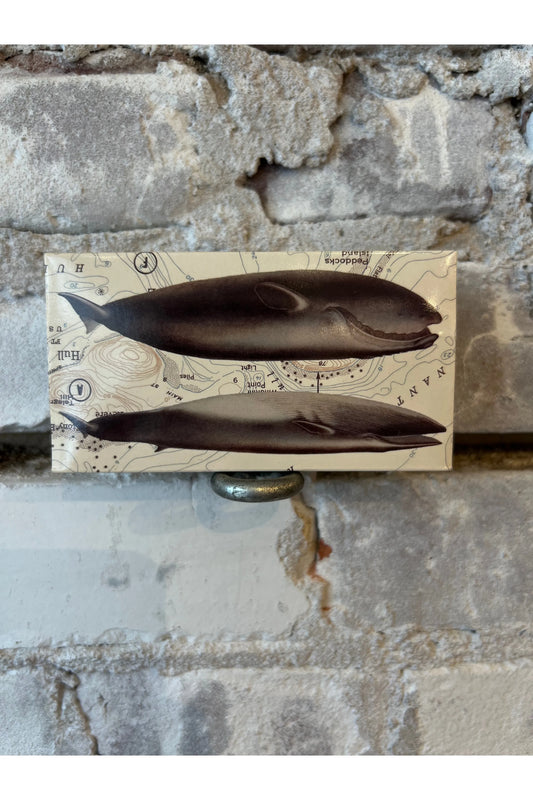 Whales Matches - DUNE + SALT