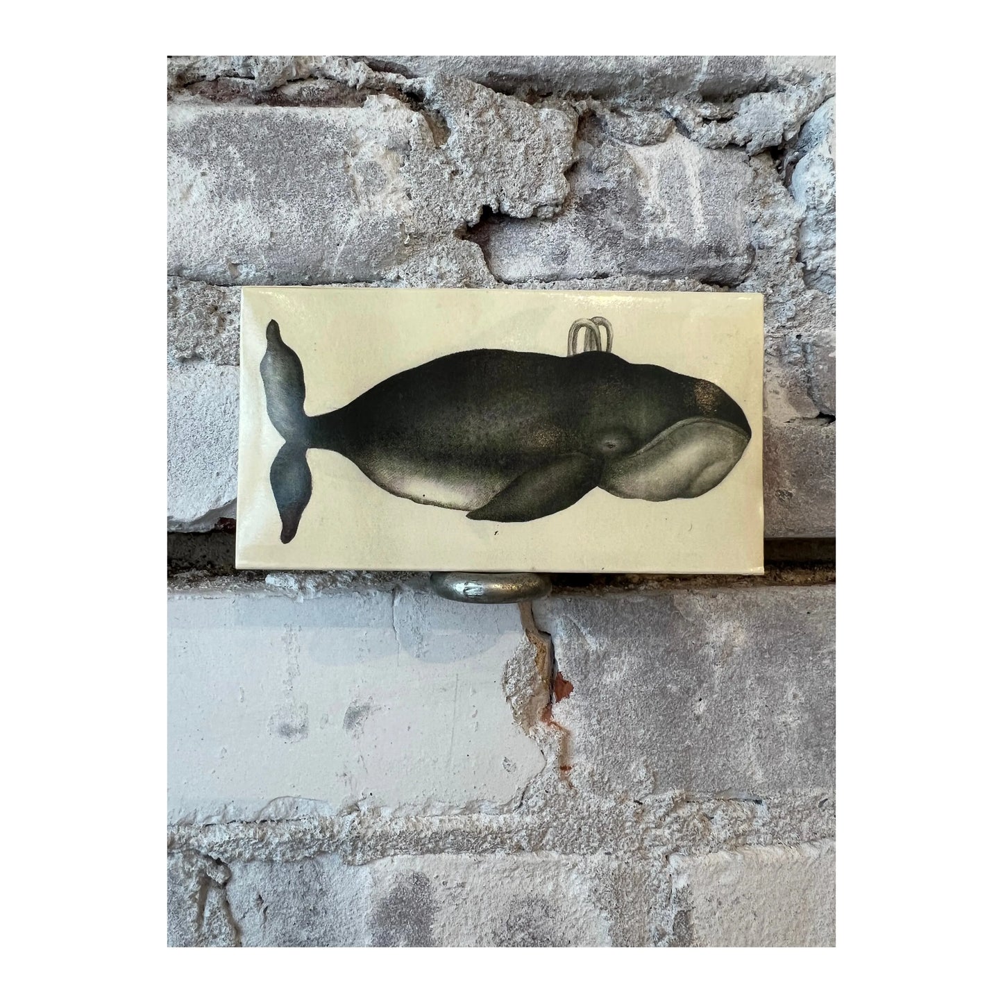 HomArt whale and clipper ship matches in a decorative holder, ideal as stylish home accessories and maritime-themed decor.