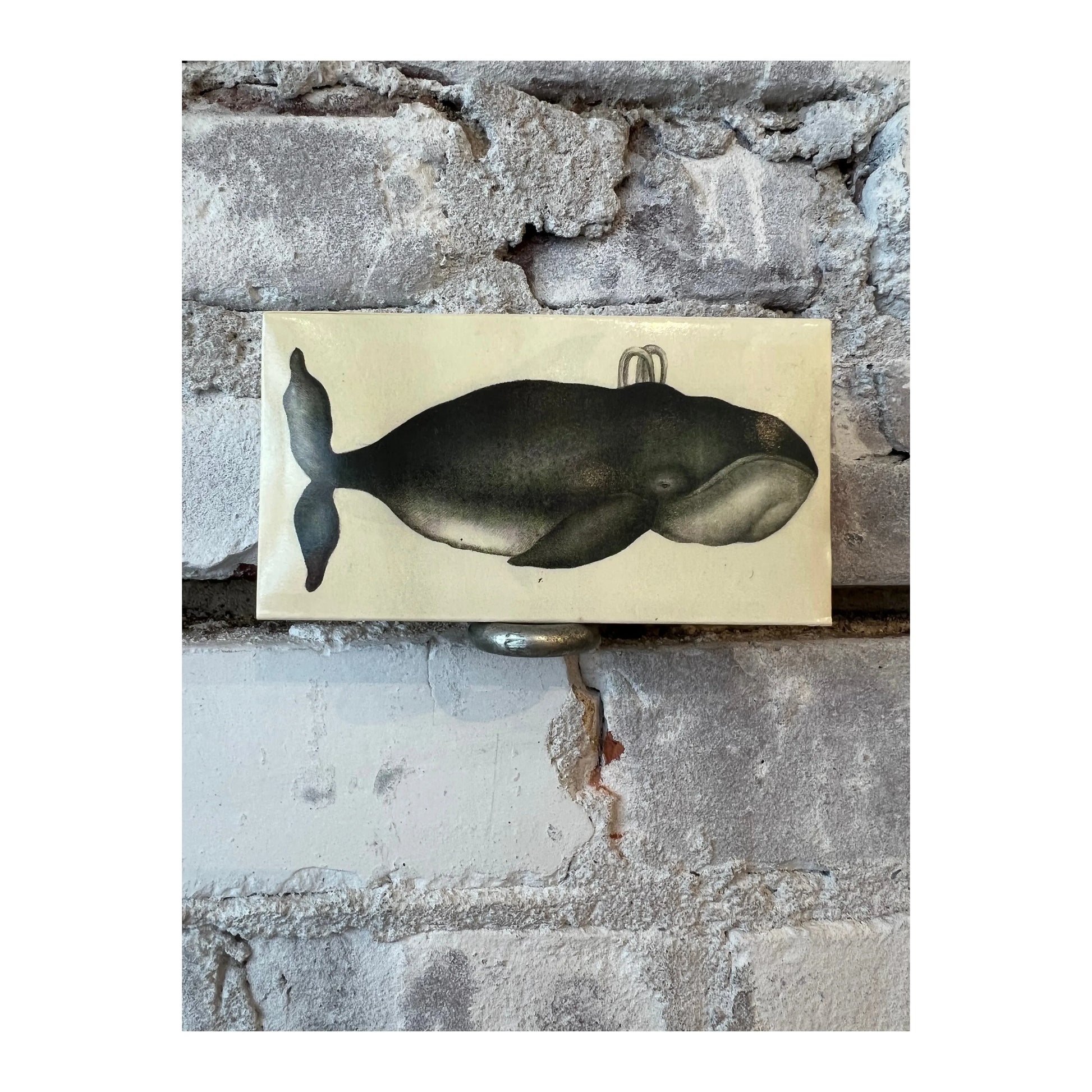 HomArt whale and clipper ship matches in a decorative holder, ideal as stylish home accessories and maritime-themed decor.