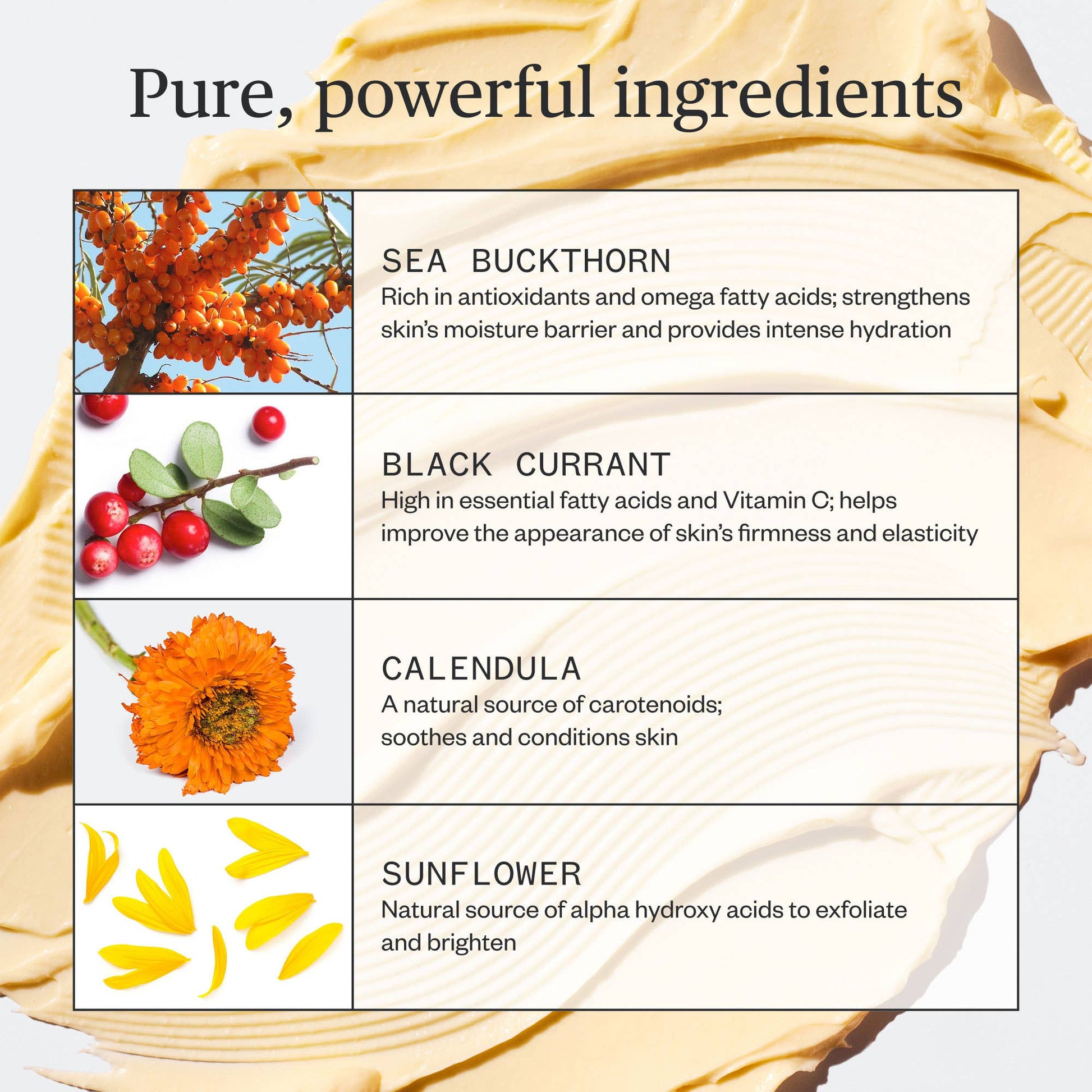 Ursa Major - Golden Hour Recovery Cream - DUNE + SALT