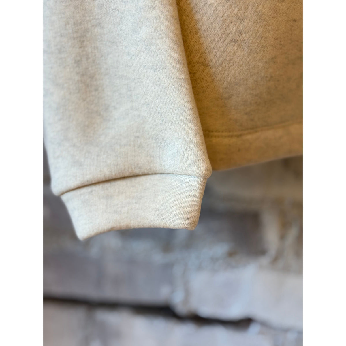 Women's oversized oatmeal cotton Tencel brushed fleece long sleeve crew from V::Room, showing the cozy, relaxed fit and soft fabric texture.