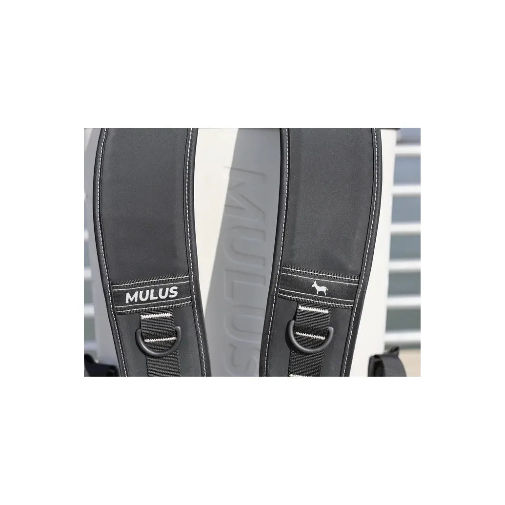 Mulus Bag - Cool Grey - DUNE + SALT