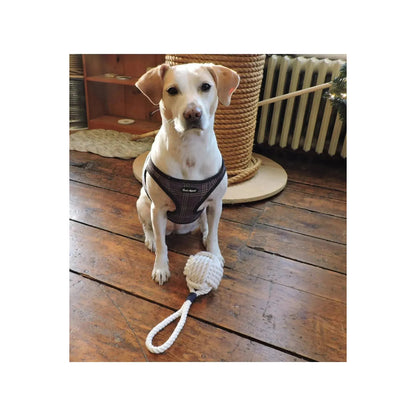 Gray and green large monkey fist rope dog toy with knotted design, perfect for chewing and play by Mystic Knotworks.