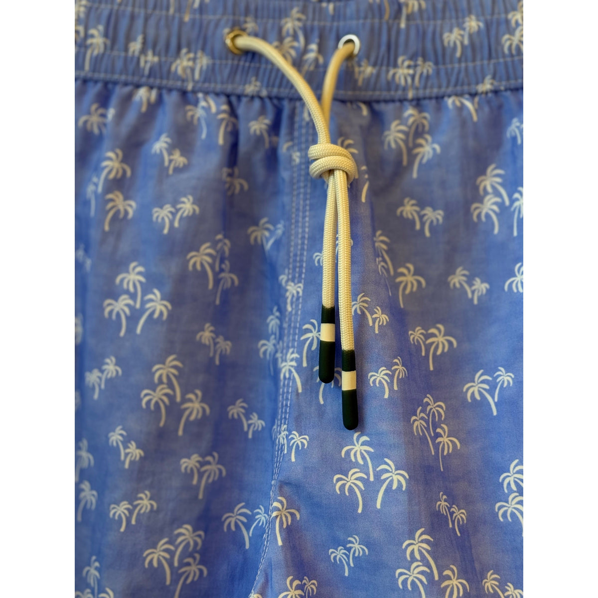 Hartford Men's "Palms" Nylon Woven Swimshort - Sky Blue Dim Gray